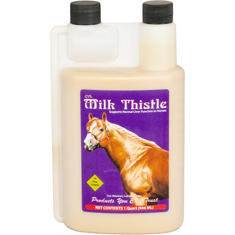 Milk Thistle